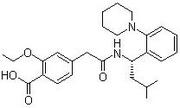 Repaglinide Tablets