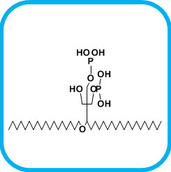 Distearyl Pentaerythritol diphosphite