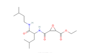 Aloxistatin(E-64d )