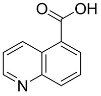 Quinoline-6-carboxylic acid