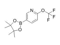 5-(4,4,5,5-tetramethyl-1,3,2-dioxaborolan-2-yl)-2-