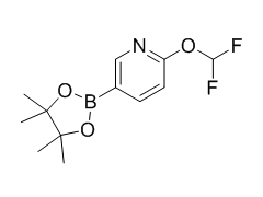 2-(difluoromethoxy)-5-(4,4,5,5-tetramethyl-1,3,2-dioxaborolan-2-