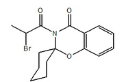 6E