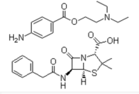 fortified procaine benzylpenicillin sterile