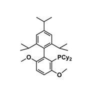 2- ( b cyclohexyl Phosphine ) -3,6- two methoxy - 2', 4', 6' - C - based -1,1' - biphenyl ( brettpho