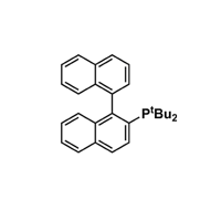 2- ( uncle Ding Jilin ) -1,1' - the naphthalene