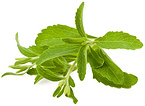 Stevia Leaf Extract（Stevioside,Stevia sugar）