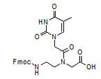 Fmoc-PNA-T-OH