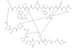 Conotoxin,mu-conotoxin,XEP-018