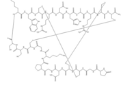 Conotoxin,mu-conotoxin,XEP-018