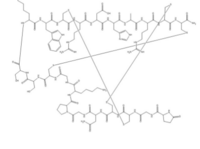 Conotoxin,mu-conotoxin,XEP-018