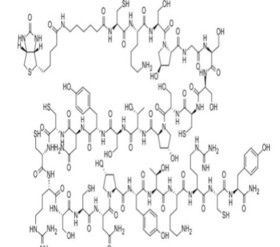 Biotin - Ahx - omega - cone snails toxins