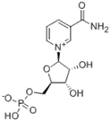 Beta niacinamide single nucleotide