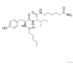 Prebiotic dipeptide