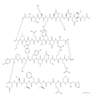 Oxyntomodulin