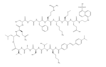 Dabcyl-KTSAVLQSGFRKME-Edans