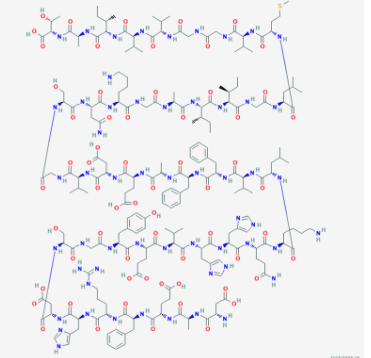 Amyloid β-Protein （1-42）