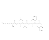 L-Phenylalanine,L-lysyl-L-leucyl-L-v