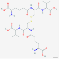 Bis-δ-(L-α-aminoadipyl)-L-cystinyl-bis-D-valine