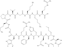 ACTH (1-17)