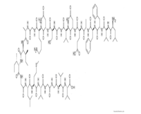 β-Amyloid (17-40)