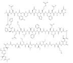 Amyloid β-Protein (42-1)