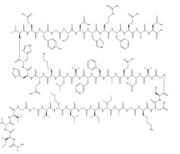 Amyloid β-Protein (42-1)
