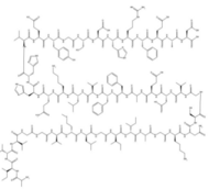 Amyloid β-Protein (42-1)