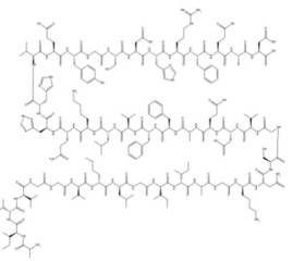 Amyloid β-Protein (42-1)