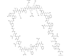 ADRENOCORTICOTROPIC HORM