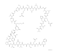 8-37-a-Calcitoningene-related pepti