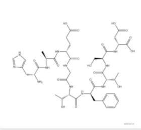 GLP-1 fragment peptide