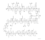 Amyloid β-Protein (1-46)