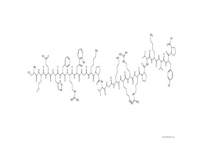 ACTH (3-24) (human, bovine, rat)