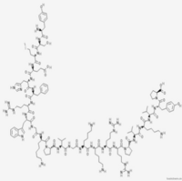 ACTH (2-24)