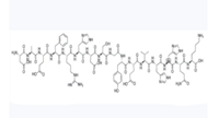 Amyloid β-Protein (1-16)