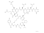 L-Asparagine,L-tyrosylglycyl-L-seryl-