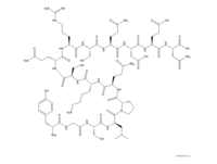 L-Asparagine,L-tyrosylglycyl-L-seryl-