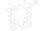 Neurokinin A (swinespinal cord) (9CI)