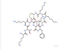 L-Cysteine,L-lysyl-L-threonyl-L-lysyl-