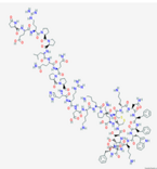 Cortistatin-29 (rat)