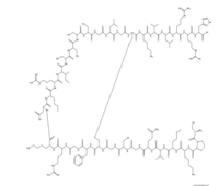 BNP-32 (Human)