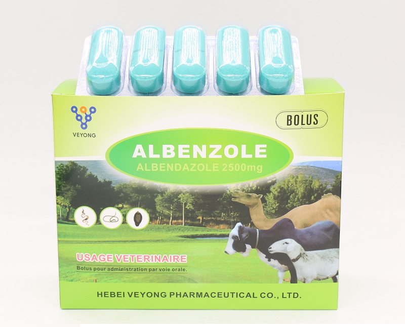 Albendazole Bolus 300mg 2500mg  