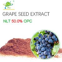 Grape Seed Extract OPC ≥ 50%