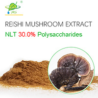 Natural Reishi Mushroom Extract Powder