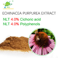 4.0%Cichoric acid Echinacea Purpurea Extract
