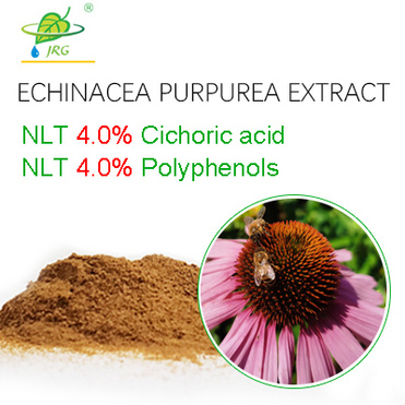 4.0%Cichoric acid Echinacea Purpurea Extract