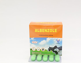 Albendazole Bolus 300mg 2500mg