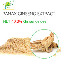 Ginseng Root Extract  Ginsenosides ≥40.0% 