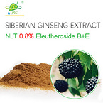 Siberian Ginseng Extract Eleutherisides B+E ≥ 0.8